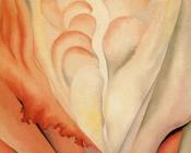 乔治亚 奥基夫 : Flower Abstraction